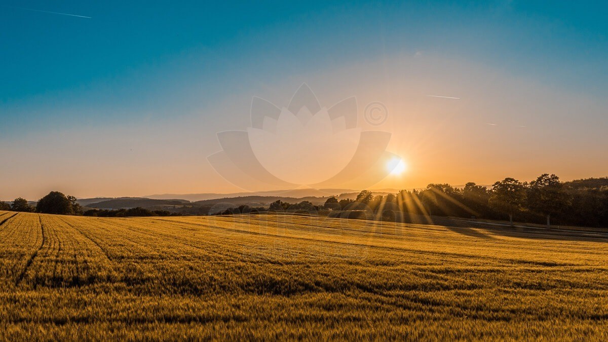 Predaj ornej pôdy - postup